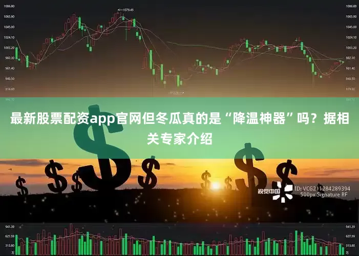 最新股票配资app官网但冬瓜真的是“降温神器”吗？据相关专家介绍